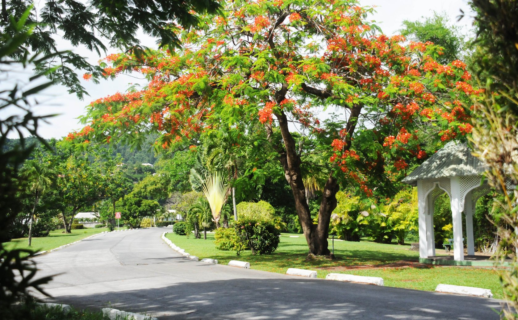 Botanical Gardens